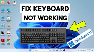 Keyboard Not Working Windows 11  How to Fix Keyboard Keys Not Working Windows 11 [upl. by Lilllie]