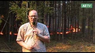 Großeinsatz der Feuerwehr Waldbrand bei Bombeck [upl. by Brinson382]