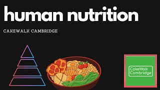 IGCSE Biology 7  Human Nutrition  CakeWalk Cambridge [upl. by Pang]