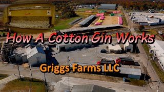 How A Cotton Gin Works [upl. by Asenej]