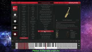 IK Multimedia SampleTank 4  Woodwinds Presets  Factory Sound [upl. by Yaj]