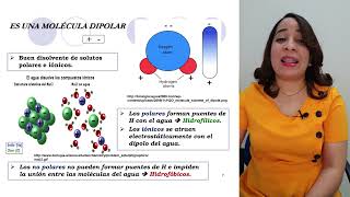 EQUILIBRIO HIDROELECTROLÍTICO  Dra Glenny Mirabal  Bioquímica I [upl. by Nnylear]