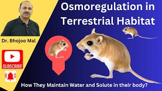 Osmoregulation in terrestrial animals class 12 biology  by Dr Bhojoo Mal [upl. by Saidel]