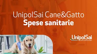 UnipolSai CneampGtto  spese sanitarie [upl. by Karlie325]