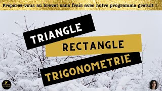 TRIANGLE RECTANGLE TRIGONOMETRIE [upl. by Geraud]