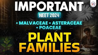 IMPORTANT PLANT FAMILIES FOR NEET 2024  MALVACEAE ASTERACEAE POACEAE  NEET BIOLOGY BY SANKALP [upl. by Ysor189]