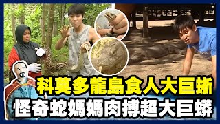 【冒險家特輯印尼】科莫多龍島食人大巨蜥 怪奇蛇媽媽路邊攤肉搏超大巨蟒｜《世界第一等》濃縮精華版 [upl. by Nawoj293]