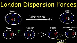 London Dispersion Forces amp Temporary Dipole  Induced Dipole Interactions  Intermolecular Forces [upl. by Noj]