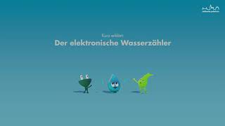 Erklärvideo zum Ablesen des elektronischen Wasserzählers [upl. by Eittel867]