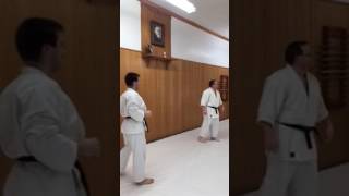 Karate Funakoshi Sensei Throws  Udewa [upl. by Shwalb288]