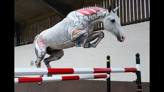 Anatomical Gymnastic Jumping  Horses Inside Out [upl. by Carlene475]