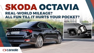 How Efficient is the New Skoda Octavia in the Real World  CarWale shorts [upl. by Felicidad]