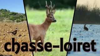 2 eme dimanche de chasse aux petit gibier saison 2015  2016 [upl. by Krefetz]