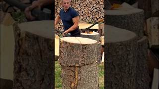 Strong hornbeam tree woodworking firewood [upl. by Vyky]