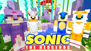 BLAZE THE CAT 137  Sonic The Hedgehog 2  Minecraft [upl. by Anidene]