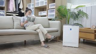 Iris OHYAMA Anion Air Purifier 45 m2 PMMSDC200 [upl. by Akiehs]