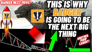 This Is Why Badger Dao Is Going To Be The Next Big Thing [upl. by Bernard]