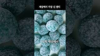 세상에서 가장 신 사탕 유튜버들이 이걸 왜 먹을까 mega sour candy raspberry [upl. by Atiuqat351]