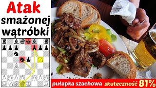 SZACHY 303 Pułapka szachowa atak smażonej wątróbki 81 punktów debiut szachowy Fried Liver Attack [upl. by Ardnauqal948]