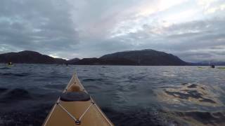 Close encounter killer whales on kayak tour Tromso Norway [upl. by Erdried]