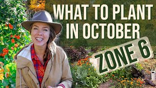 What To Plant in October Zone 6 [upl. by Antonia]