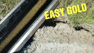 Gold Prospecting On The North Saskatchewan River EASY diggings [upl. by Lexine]