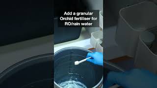 How I water my Orchids [upl. by Eddie]