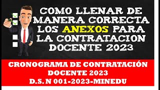 COMO LLENAR DE MANERA CORRECTA LOS ANEXOS PARA LA CONTRATACION DOCENTE 2023 [upl. by Ellemac]