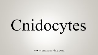 How To Say Cnidocytes [upl. by Zacherie]