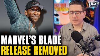 Blade Movie Removed From Release Schedule [upl. by Noyerb196]