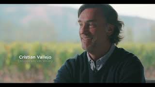 VIK  oenology amp viticulture of our ultra premium wines [upl. by Per]