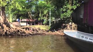 Tortuguero Costa Ricas quotAmazonquot Tour Package [upl. by Berliner]