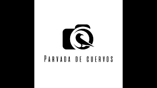 Parvada de Cuervos La nueva era [upl. by Arihsay]