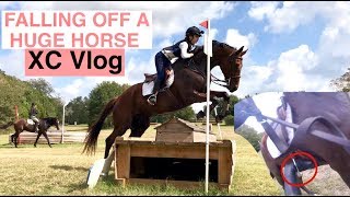 FALLING OFF A HUGE HORSE DURING XC Vlog  Helmet Cam [upl. by Sherrill]