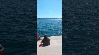 Sea Of Organ Zadar Croatia [upl. by Notloc692]