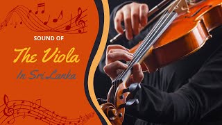 Striking Chords The Violas Journey Through Sri Lankan Music [upl. by Elleahcim]