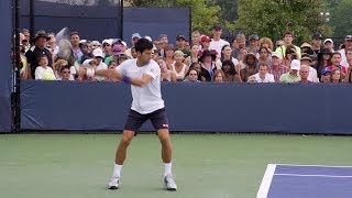 Novak Djokovic Ultimate Compilation  Forehand  Backhand  Overhead  Volley  Serve  2013 Cincinn [upl. by Tterraj491]