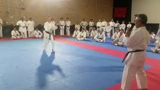 Sanseru kata at JKF Gojukai Seminar Australia [upl. by Ermeena]