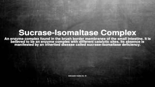 Medical vocabulary What does SucraseIsomaltase Complex mean [upl. by Nylirahs]