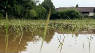 De la pluie des orages et encore de la pluie [upl. by Wobniar958]