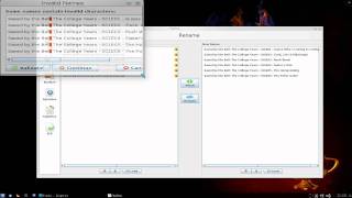 FileBot  The Ultimate TV Renamer  Kubuntu 1010 [upl. by Wiseman361]