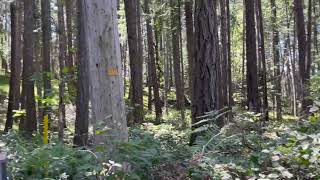 Acreage on Mudge Island for Sale Lot 2 Driftwood Drive Mudge Island BC [upl. by Kary114]