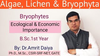 Ecological amp Economic Importance of Bryophytes BSc 1st year English amp Hindi [upl. by Claybourne831]