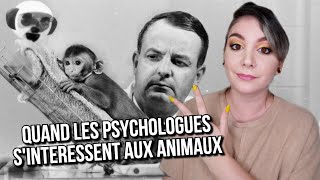 3 EXPÉRIENCES de Psychologie basées sur des ANIMAUX [upl. by Anwaf]