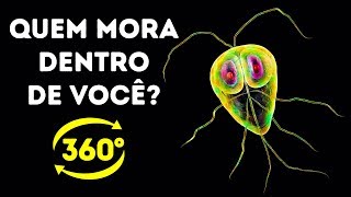 Quantas Bactérias Moram No Seu Corpo  360 VR [upl. by Finah214]