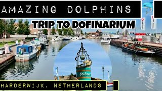 Dolfinarium at Harderwijk Netherlands travel dolphinarium dolphin holland sairascosmos [upl. by Schecter]