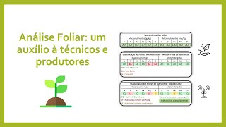 Interpretação de Análise Foliar  Como Fazer [upl. by Blatt232]