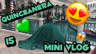 Mini Quinceanera Vlog  Party Bus Court Surprise Dances 💚 [upl. by Anilev]