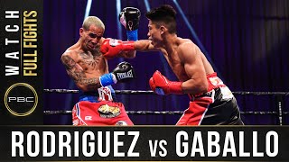 Rodriguez vs Gaballo FULL FIGHT December 19 2020  PBC on SHOWTIME [upl. by Enreval]