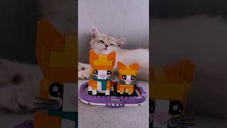 LEGO® Ginger Tabby cat and kitten 40480 [upl. by Oba]